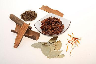 未来游戏展：P社“模拟人生”《Life by You》新预告